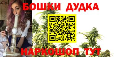 амф Будённовск